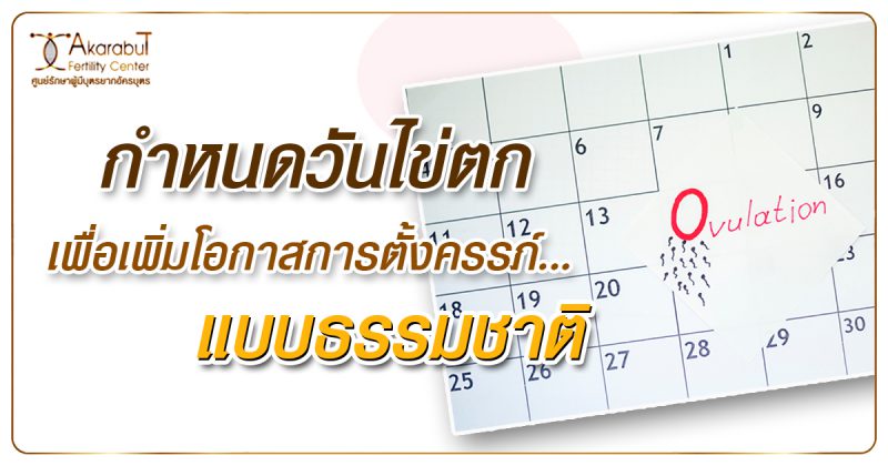 กำหนดวันไข่ตก เพื่อเพิ่มโอกาสห่รตั้วครรภ์แบบธรรมาติ