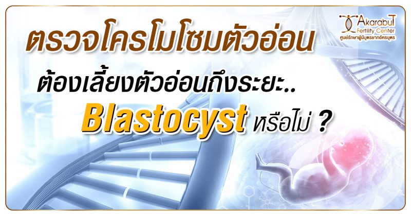 ตรวจโครโมโซมตัวอ่อนต้องเลี้ยงตัวอ่อนถึงระยะBlastocystหรือไม่