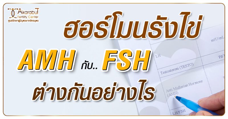 ฮอร์โมนรังไข่AMHกับFSHต่างกันอย่างไร